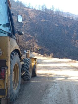 WhatsApp Image 2024-01-17 à 16.02.28_daf55f68