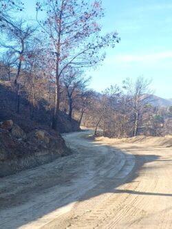 WhatsApp Image 2024-01-17 à 16.02.29_afbecd00